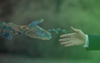 valorar empresas sostenibilidad