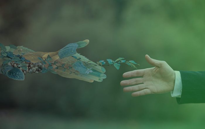 valorar empresas sostenibilidad